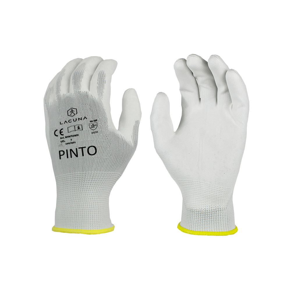 6PINTOWH