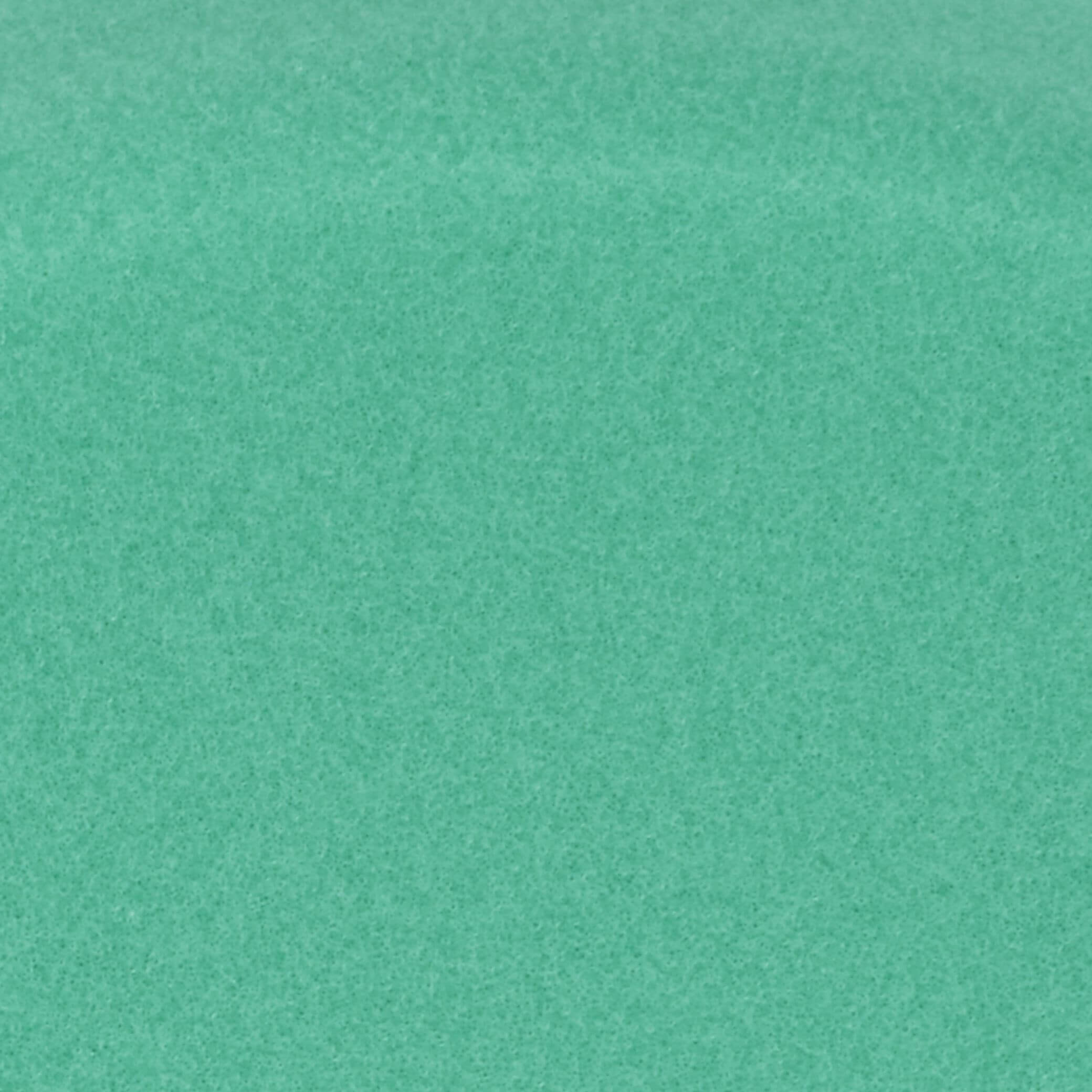 7000032137__Additional_Pictures__1123636__3M__Perfect-It__Foam_Compounding_Pad__Green__Flat__150_mm__50487