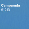 Campanula