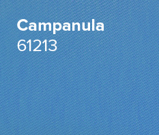 Campanula
