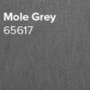 Mole_Grey