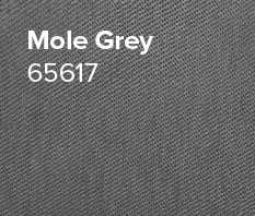 Mole_Grey