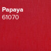 Papaya2