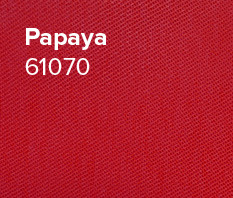 Papaya2