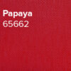 Papaya_65662