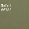 Safari