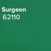 Surgeon
